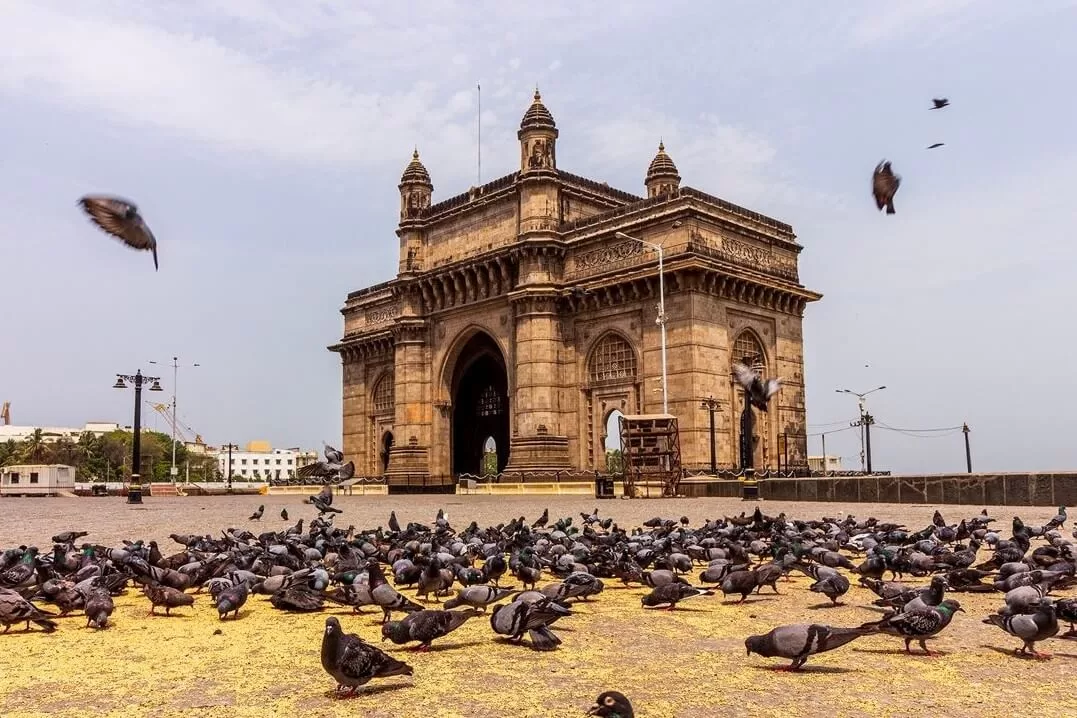 Golden Triangle And Mumbai
