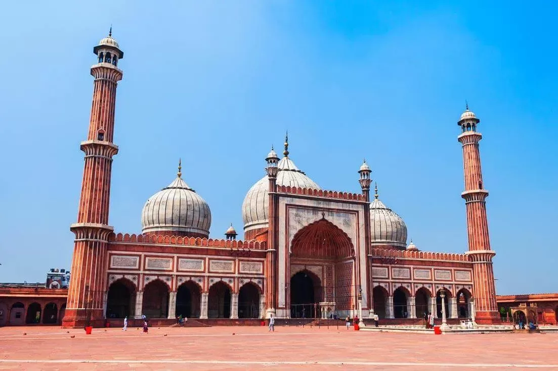 Golden Triangle And Tigers